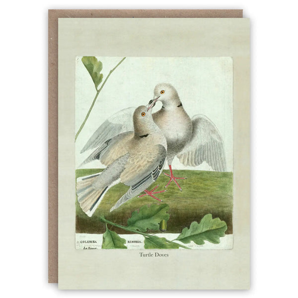 Turtle Doves Card