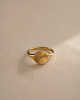 Nomi Ring