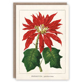 Poinsettia Greeting Card