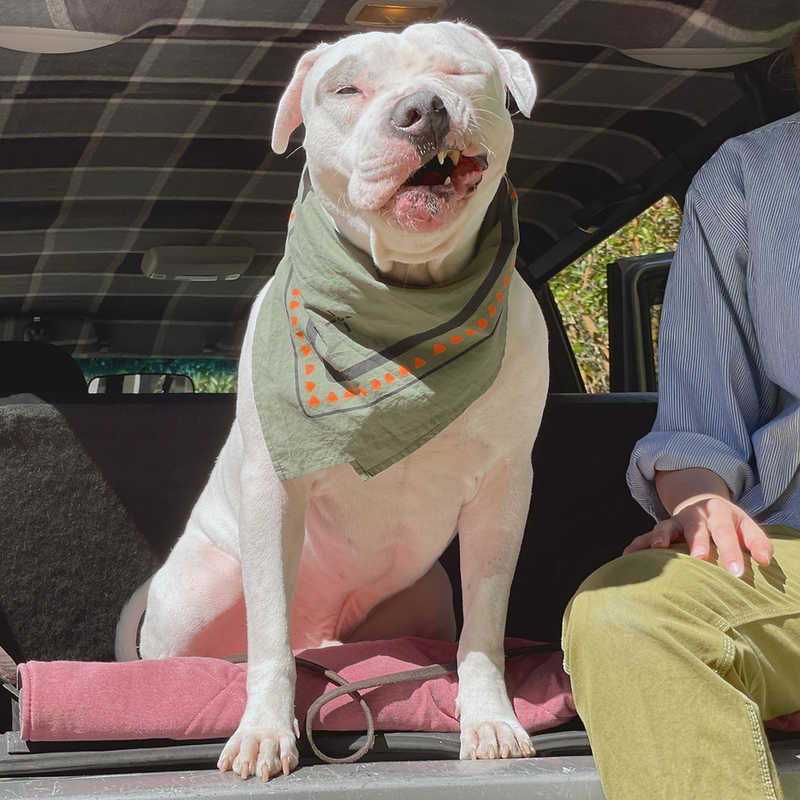 Spruce Green Bandana