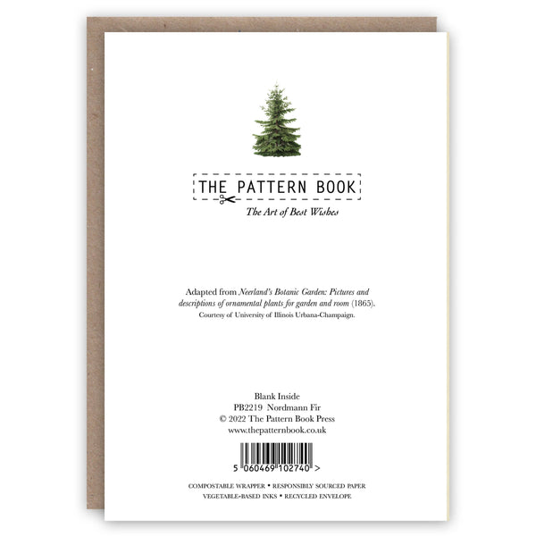 Nordmann Fir Holiday Greeting card