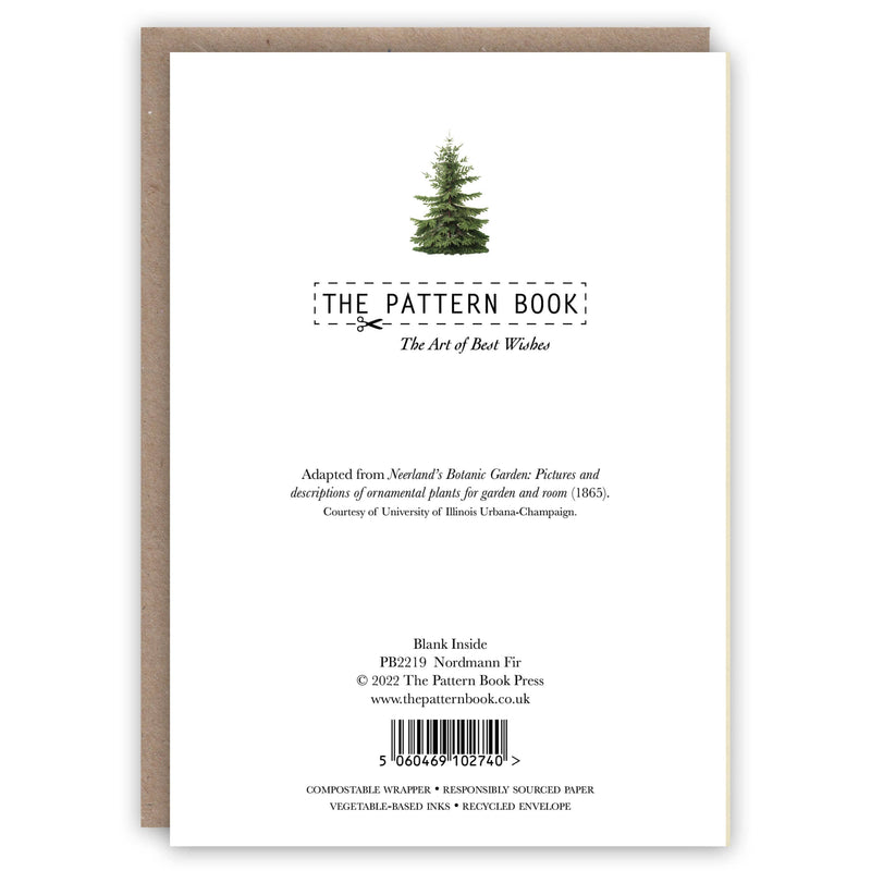 Nordmann Fir Holiday Greeting card