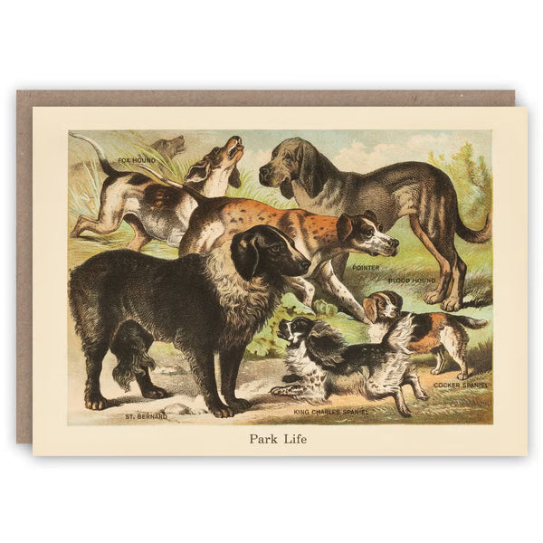 Park Life Dog Card
