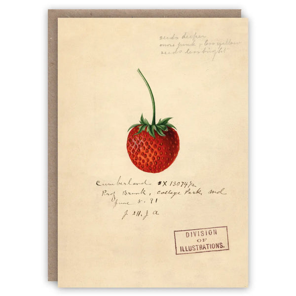 Strawberry Card