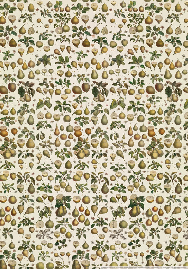 Pears Gift Wrap