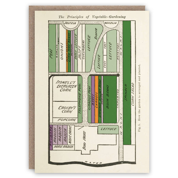 Vegetable Garden greeting card