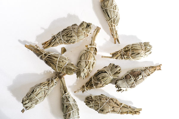 Wild White Sage Smudge Bundle