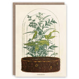 Terrarium Greeting Card
