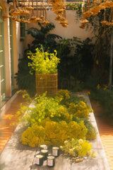 Golden Pollinator Candle