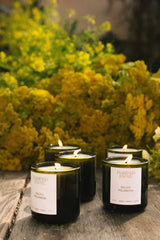 Golden Pollinator Candle