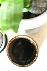 Mint & Nettle Tea