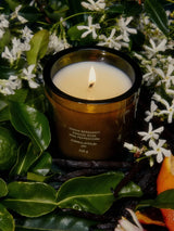 Euphoria Candle