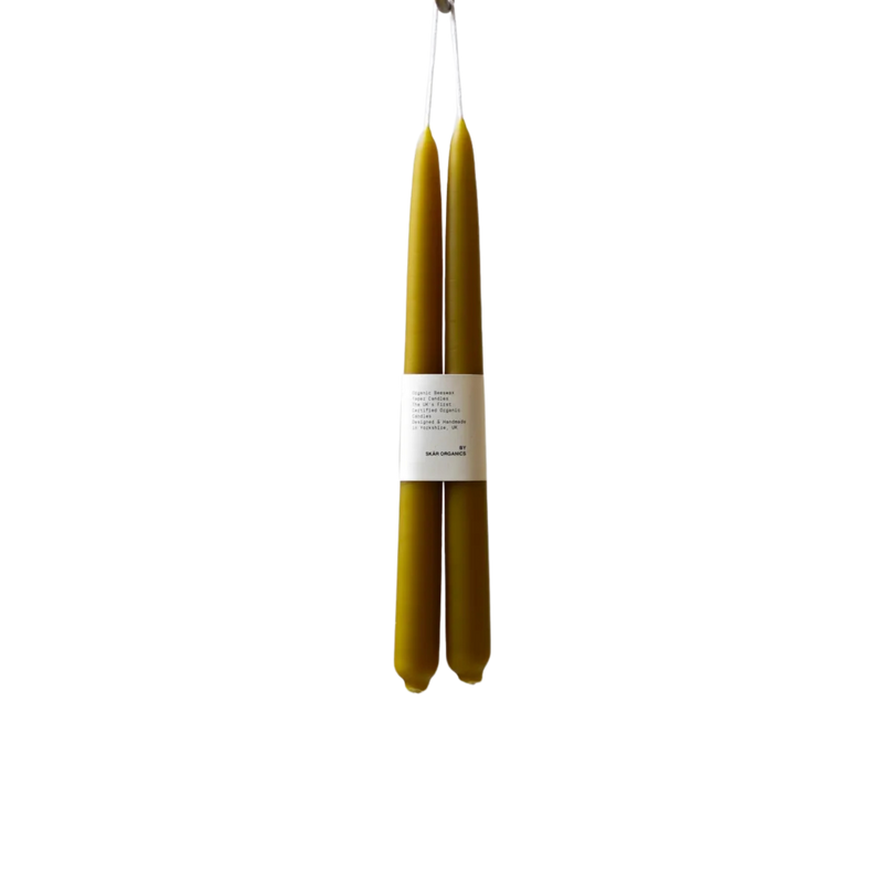 Organic Beeswax Candle Pair, Green Tea, Short