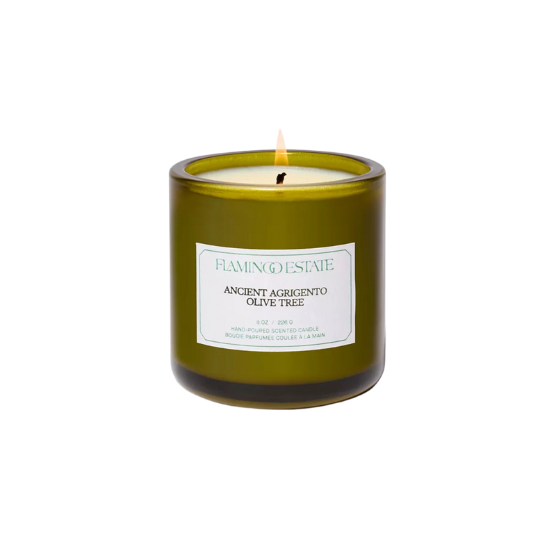 Ancient Agrigento Olive Tree Candle