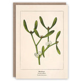 Mistletoe Greeting Card