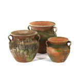 Aged Allende Potbelly Planter