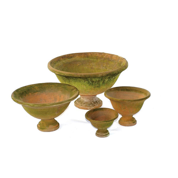 Venetian Fruit Bowl - Small