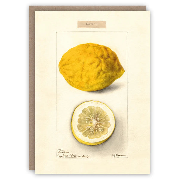 Lemon Card