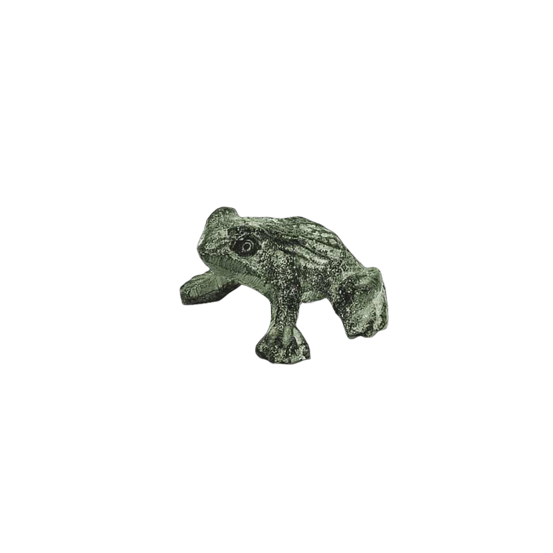 Tiny Bronze Frog
