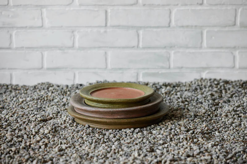 Aged Victorian Saucer  #5 - 8.5" Dia