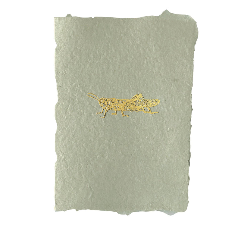 Locust Note Card