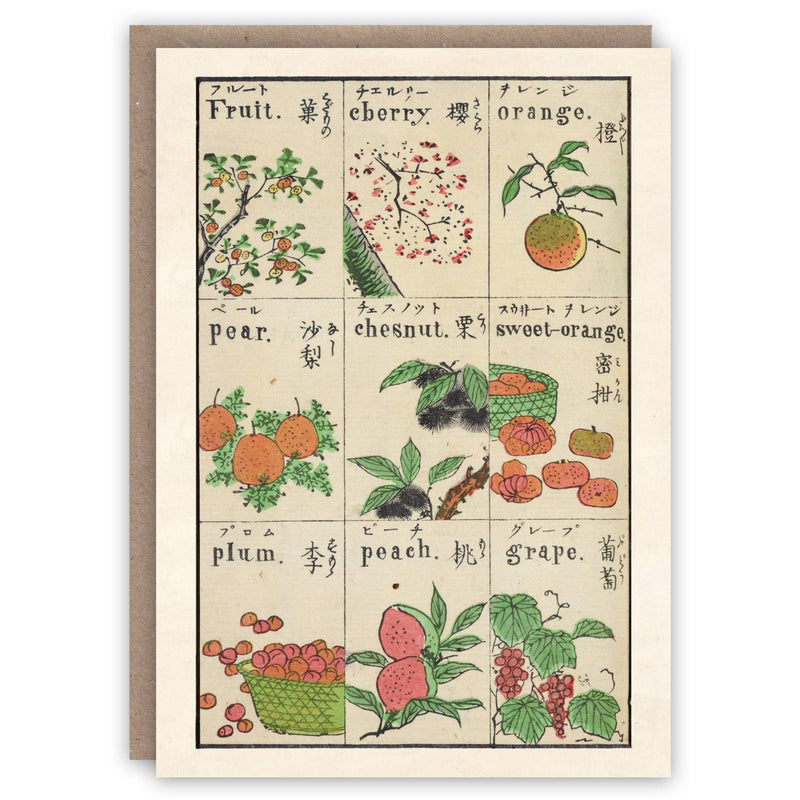 Japanese Fruits