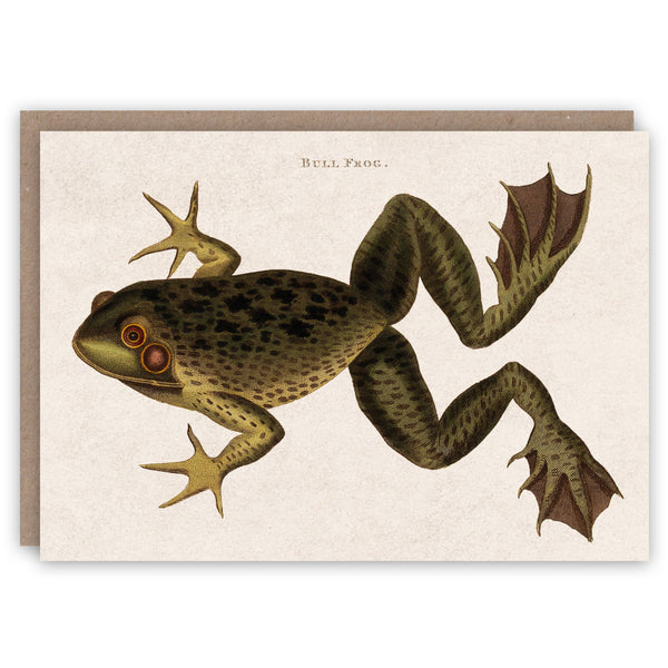 Bull Frog Card